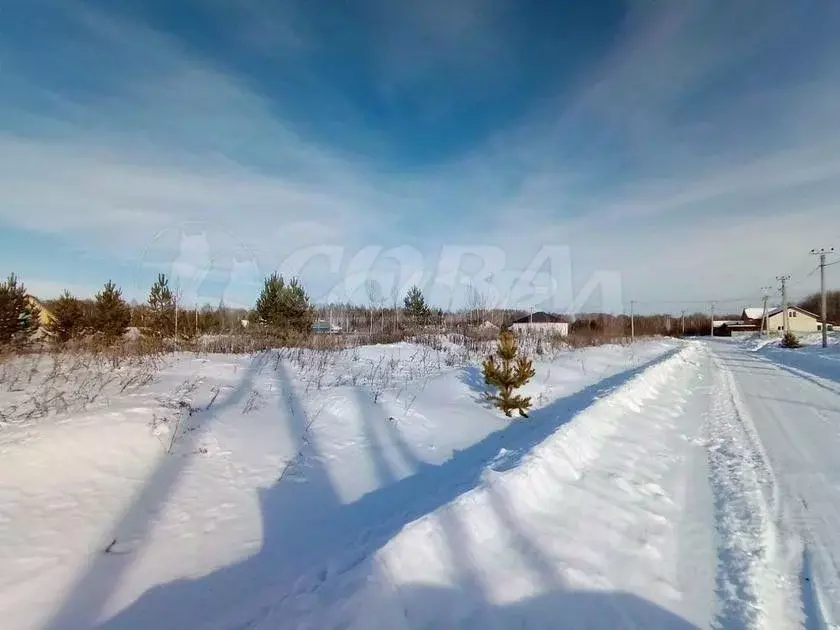 Участок в Тюменская область, Нижнетавдинский район, д. Московка 1-я ... - Фото 0