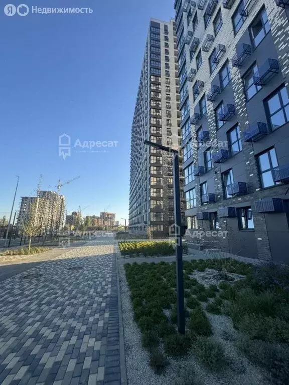 Помещение свободного назначения (5.1 м) - Фото 2