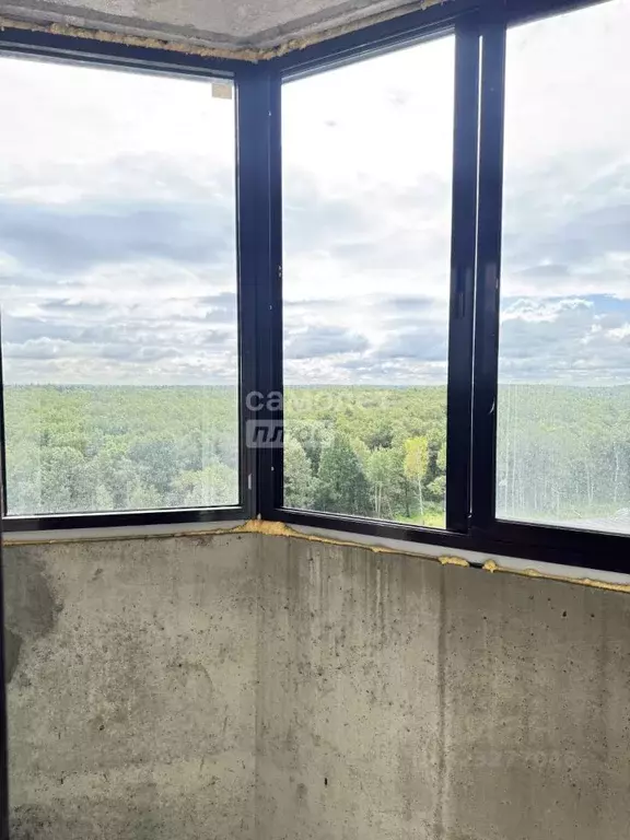 1-к кв. Московская область, Домодедово Востряково мкр, ул. Ледовская, ... - Фото 2