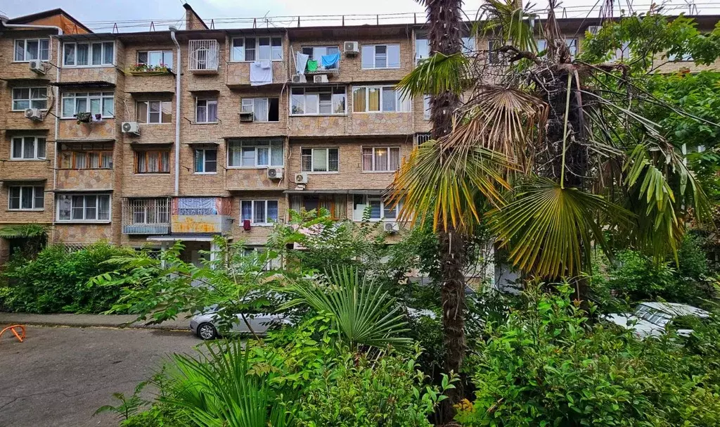 1-к кв. Краснодарский край, Сочи Заречный мкр, ул. Абрикосовая, 25 ... - Фото 1