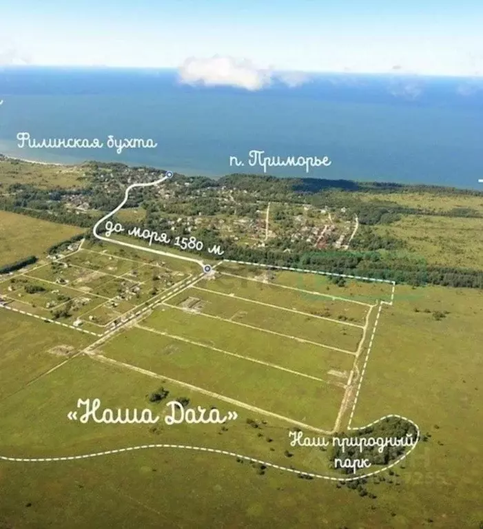 Участок в Калининградская область, пос. Приморье  (7.28 сот.) - Фото 2