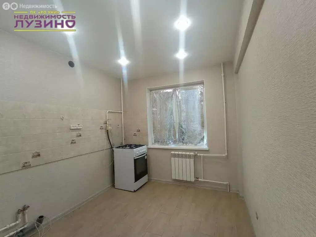1-комнатная квартира: село Лузино, Комсомольская улица, 16 (30.2 м) - Фото 1
