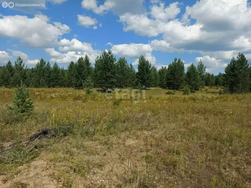 Участок в Тарбагатайский район, сельское поселение Заводское, ДНТ ... - Фото 2