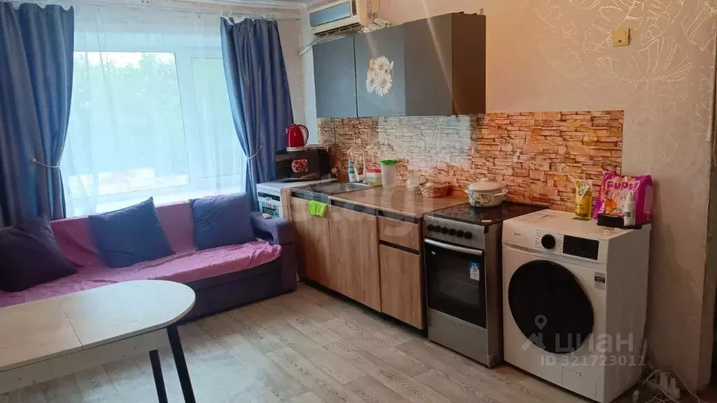 4-к кв. Амурская область, Благовещенск городской округ, с. Белогорье ... - Фото 2