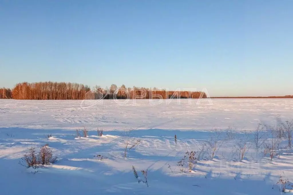 Участок в Тюменская область, Тюменский район, с. Горьковка  (15.0 ... - Фото 0