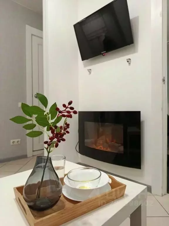 2-к кв. Псковская область, Псков наб. Реки Великой, 6 (45.0 м) - Фото 2