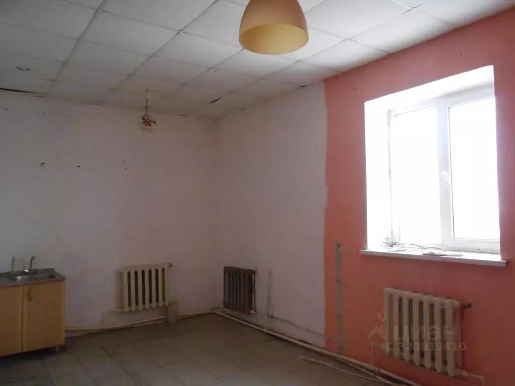 Помещение свободного назначения в Челябинская область, с. Еткуль ул. ... - Фото 1