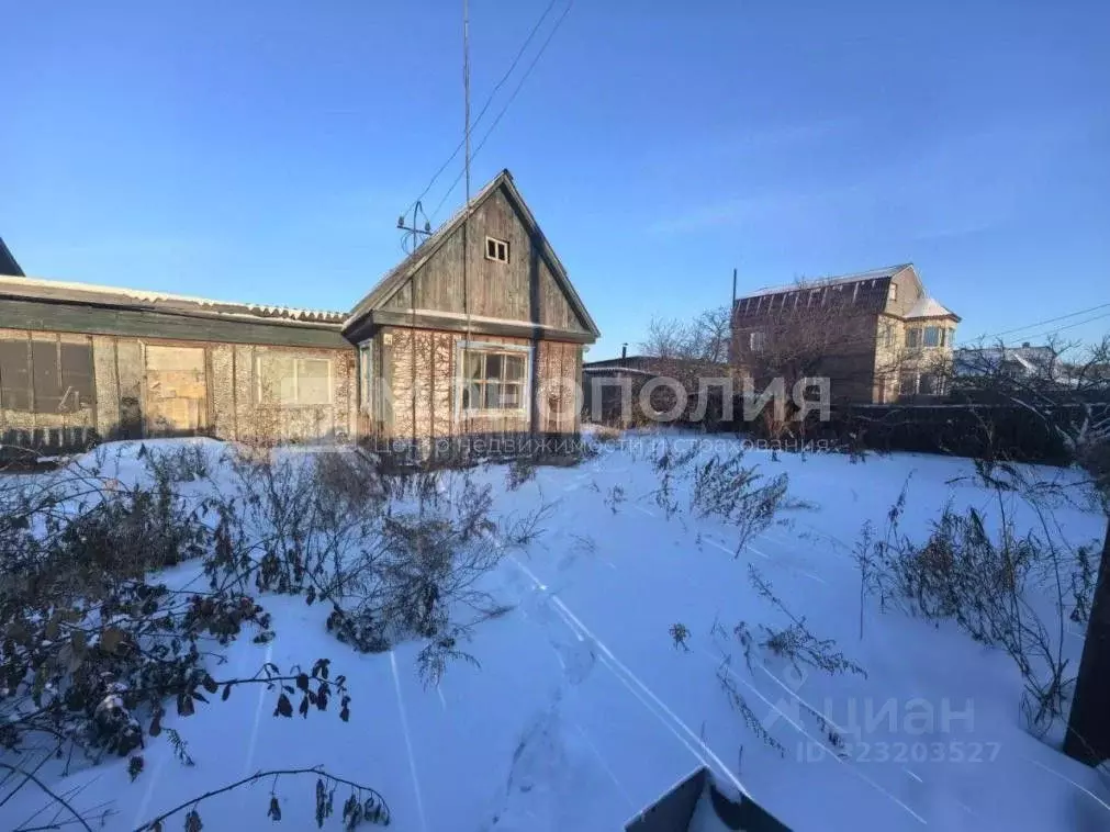 Дом в Амурская область, Серышевский муниципальный округ, с. Бочкаревка ... - Фото 1