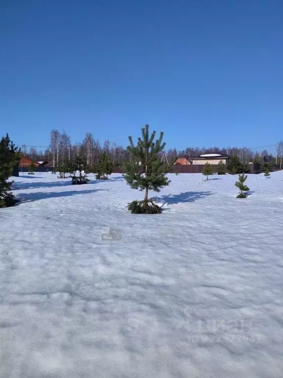 Участок, 10 сот., сельхоз (снт или днп) - Фото 1