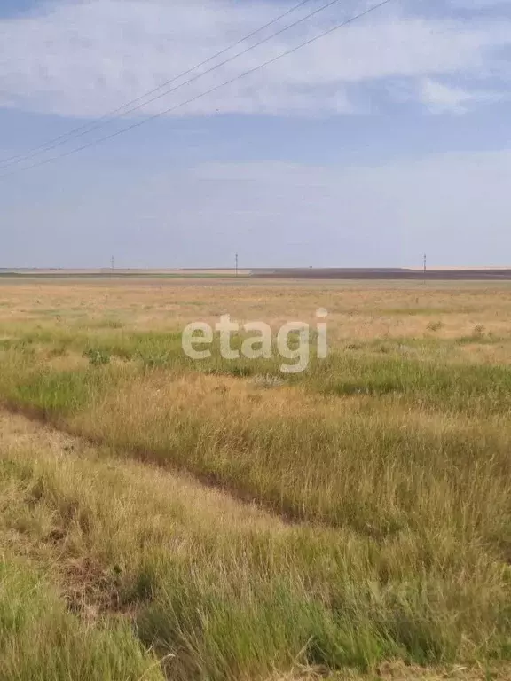 Участок в Крым, Черноморский район, с. Новоивановка ул. Дорожная (7.0 ... - Фото 0