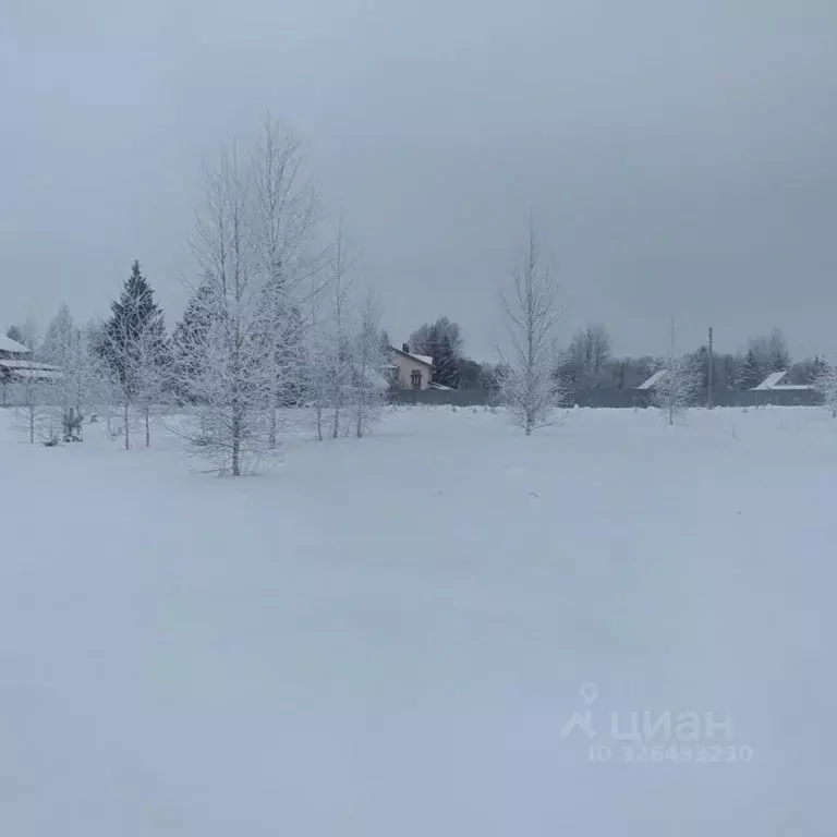 Участок в Владимирская область, Суздальский район, Селецкое ... - Фото 2