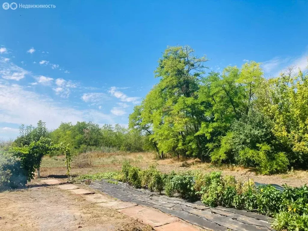 Дом в Азовский район, село Александровка (73 м) - Фото 0