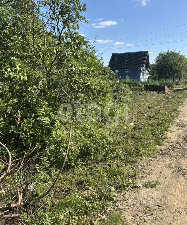 Участок в Костромская область, Кострома Дубки садоводческое ... - Фото 1