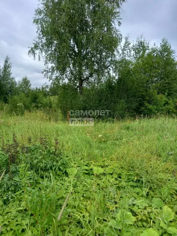 Участок в Свердловская область, Ачитский муниципальный округ, пос. ... - Фото 1