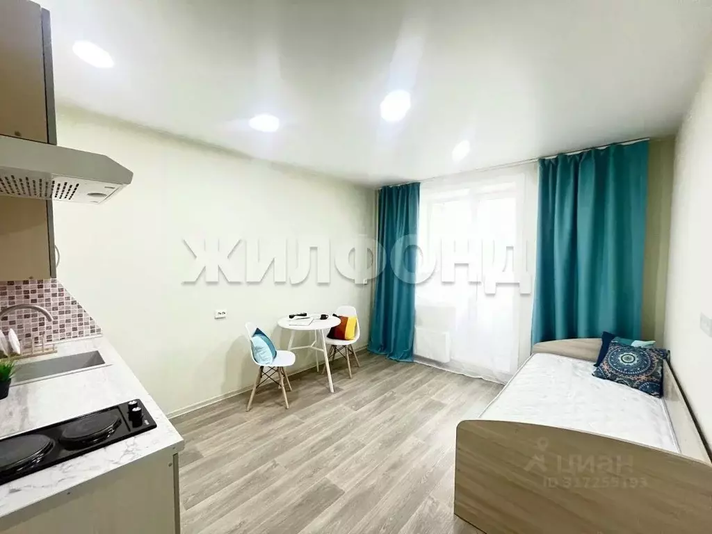 Студия Новосибирская область, Новосибирский район, Каменский ... - Фото 0