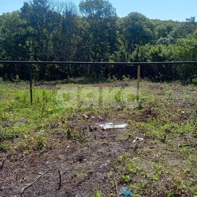 Участок в Краснодарский край, Горячий Ключ муниципальный округ, пос. ... - Фото 1