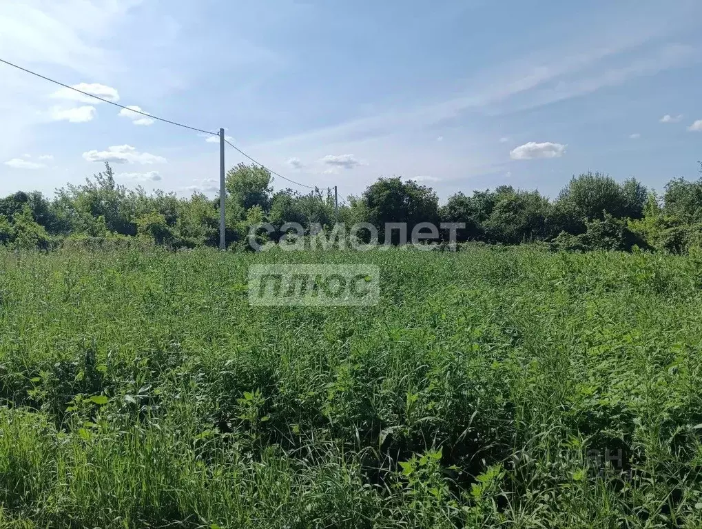 Участок в Пензенская область, Бессоновский район, с. Чемодановка ул. ... - Фото 0