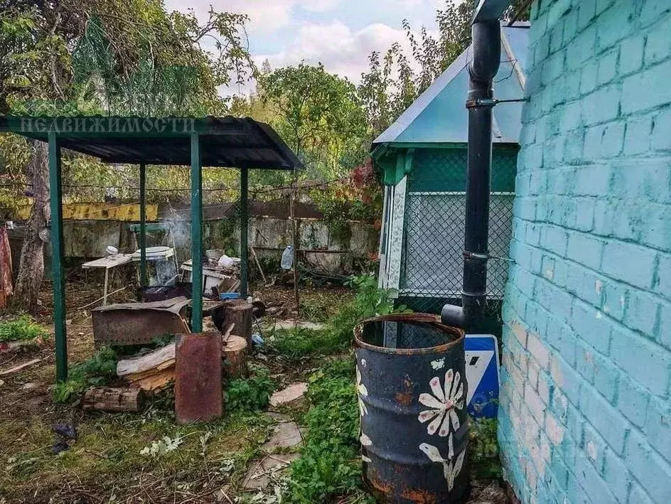 Участок в Смоленская область, Смоленск Дружба СНТ, 217 (6.0 сот.) - Фото 1