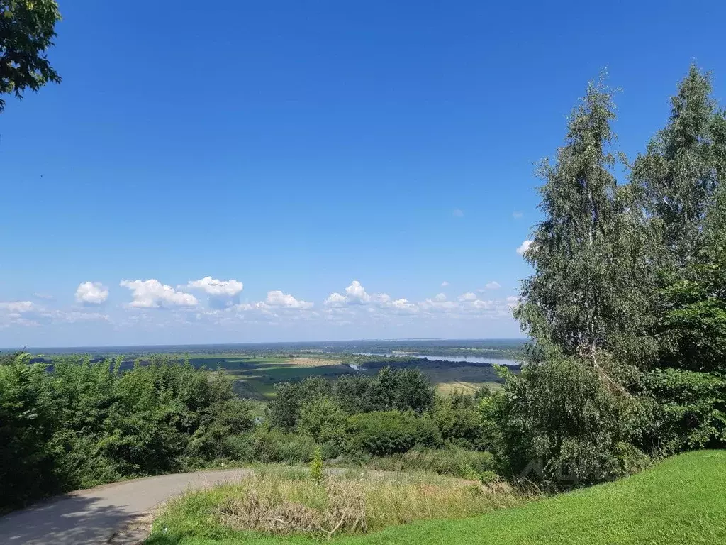 Участок в Нижегородская область, Горбатов Павловский район, пер. ... - Фото 1