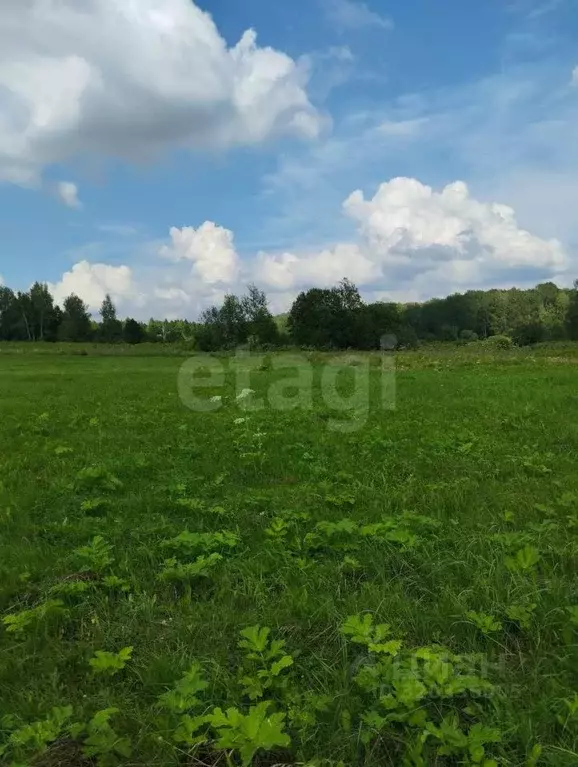 Участок в Калужская область, Малоярославецкий район, Недельное с/пос, ... - Фото 2