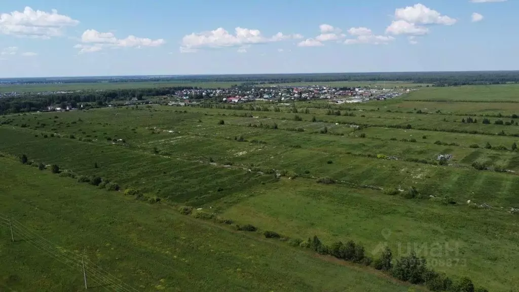 Участок в Тюменская область, Тюменский район, д. Елань  (65.0 сот.) - Фото 0