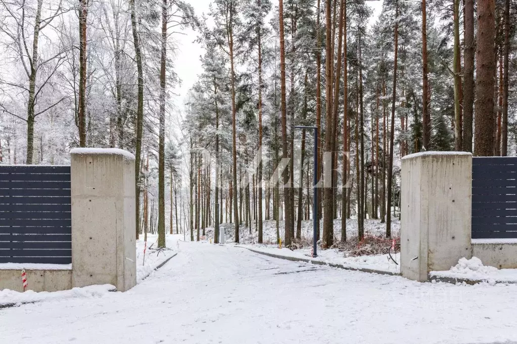 Участок в Ленинградская область, Всеволожский район, Куйвозовское ... - Фото 2