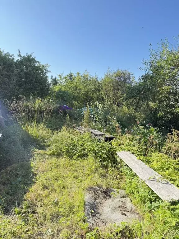 Участок в Ленинградская область, Отрадное Кировский район, 9-я линия, ... - Фото 2