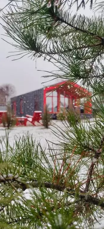 Дом в Московская область, Ступино городской округ, д. Канищево, ... - Фото 2