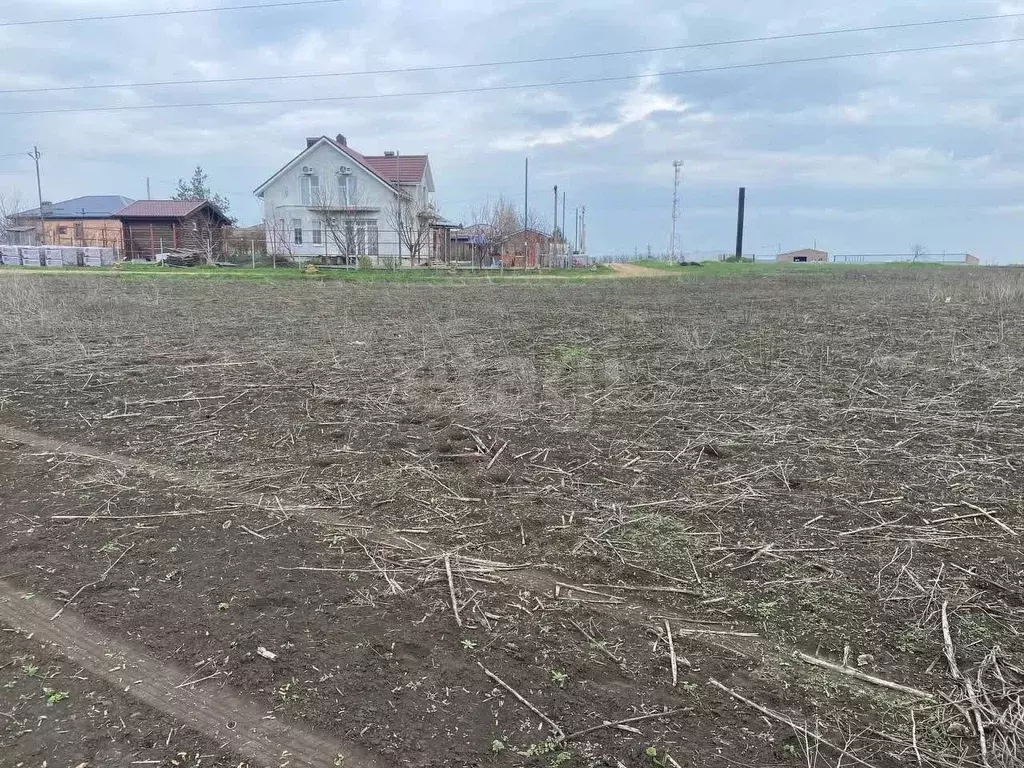 Участок в Ростовская область, Мясниковский район, с. Большие Салы ул. ... - Фото 1