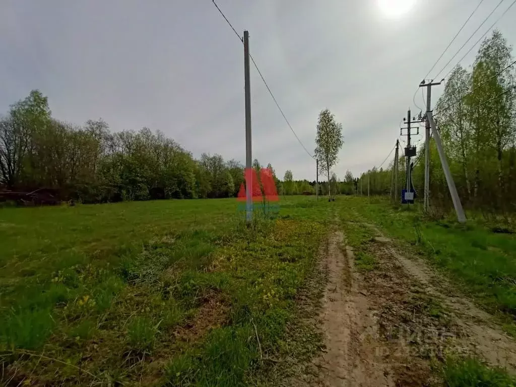 Участок в Ярославская область, Тутаевский муниципальный округ, д. ... - Фото 1