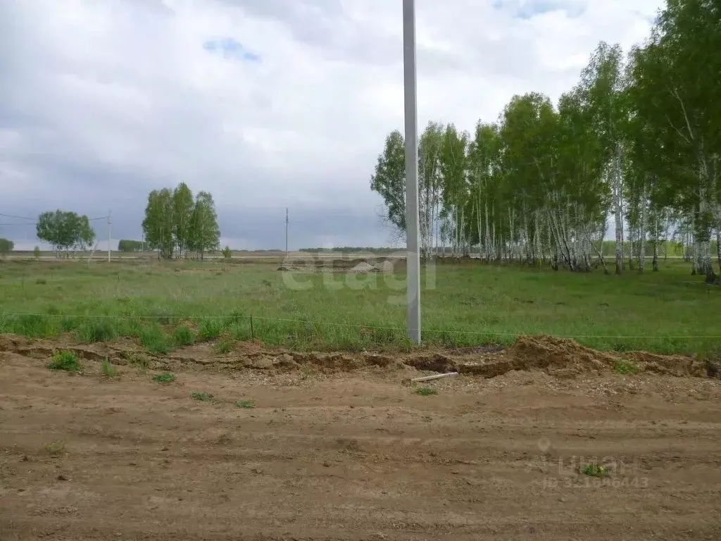 Участок в Новосибирская область, Колыванский район, Озерное садовое ... - Фото 1