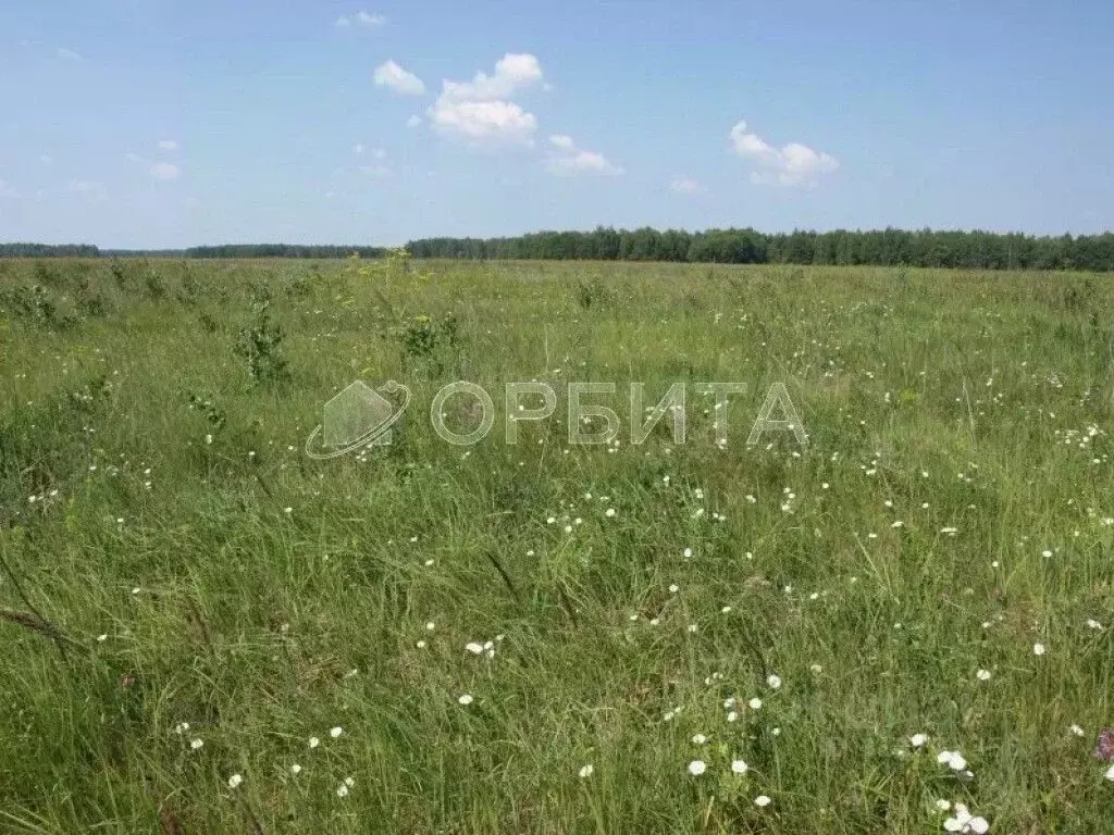 Участок в Тюменская область, Тюменский район, Новокаменский кп ул. ... - Фото 0