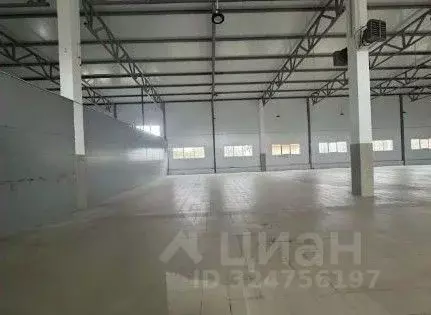 Склад в Ленинградская область, Отрадное Кировский район, Ленинградское ... - Фото 1