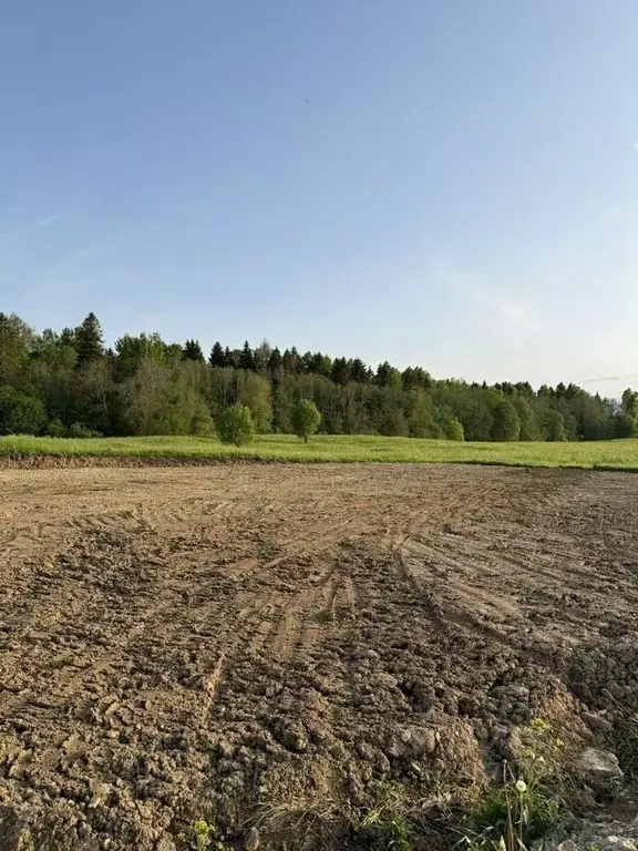 Участок в Ленинградская область, Ломоносовский район, Лопухинское ... - Фото 1