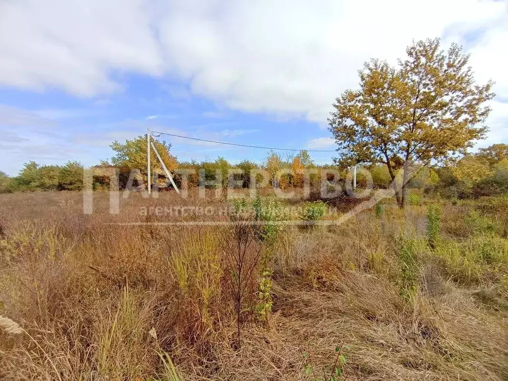 Участок в Краснодарский край, Северская ст-ца, Содружество СНТ  (7.9 ... - Фото 2