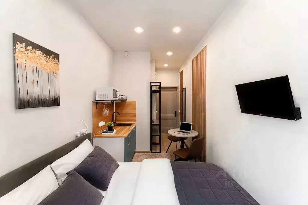 1-к кв. Санкт-Петербург ул. Марата, 60/7 (12.0 м) - Фото 1