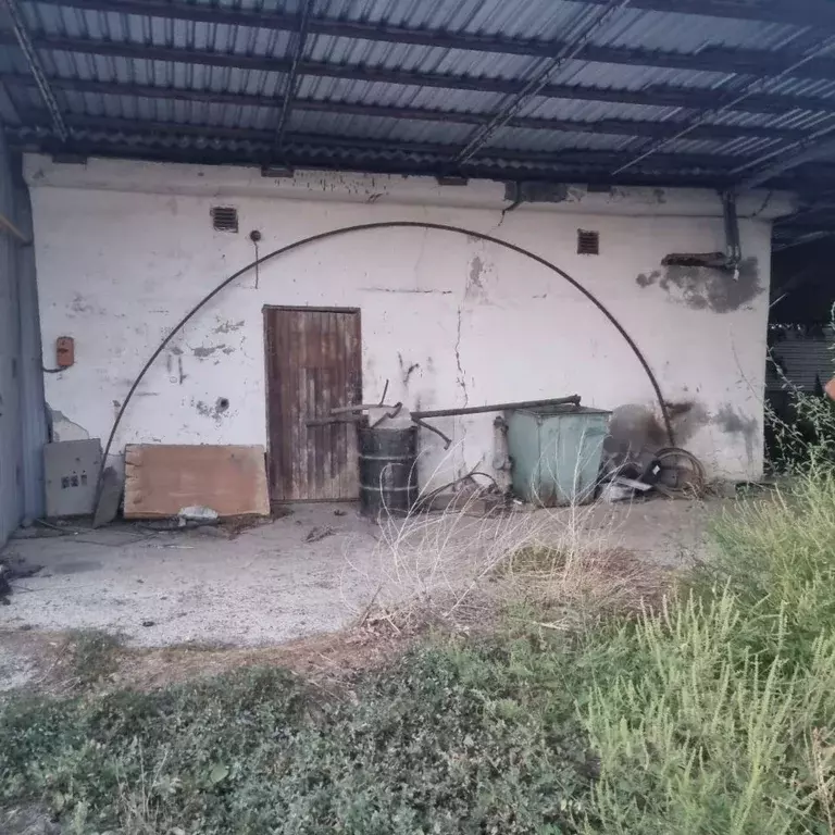 Помещение свободного назначения в Краснодарский край, Каневской район, ... - Фото 1