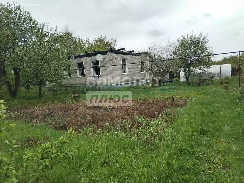 Участок в село Грабово, Набережная улица, 7 (16 м) - Фото 0