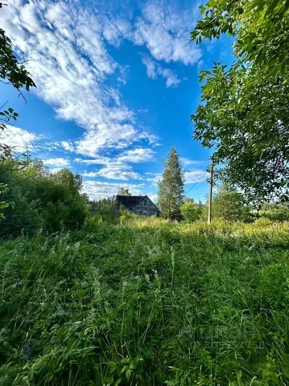 Участок в Ленинградская область, Гатчинский район, Вырица городской ... - Фото 0