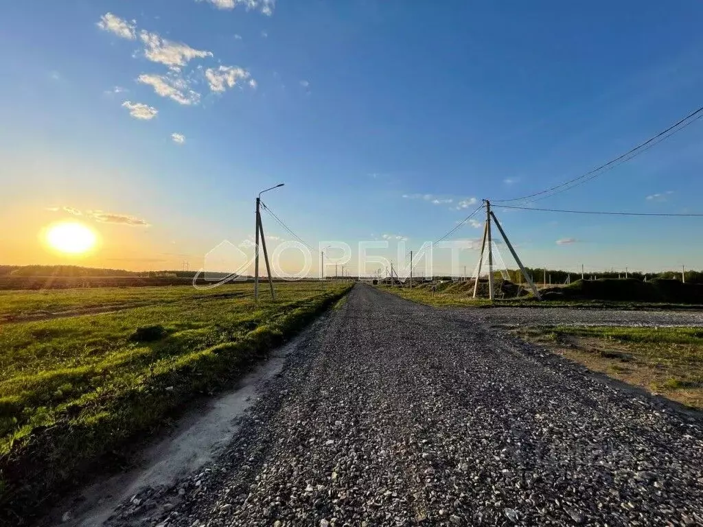 Участок в Тюменская область, Тюменский муниципальный округ, Каменское ... - Фото 1