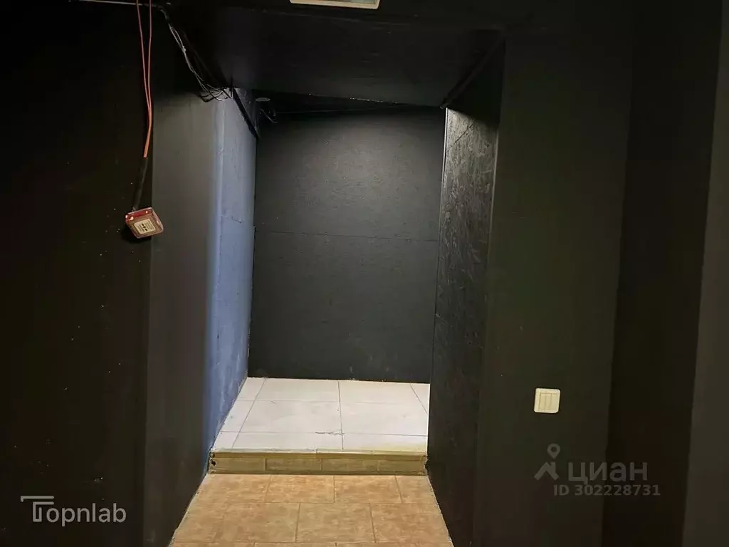 Торговая площадь в Алтайский край, Барнаул просп. Калинина, 8 (275 м) - Фото 2