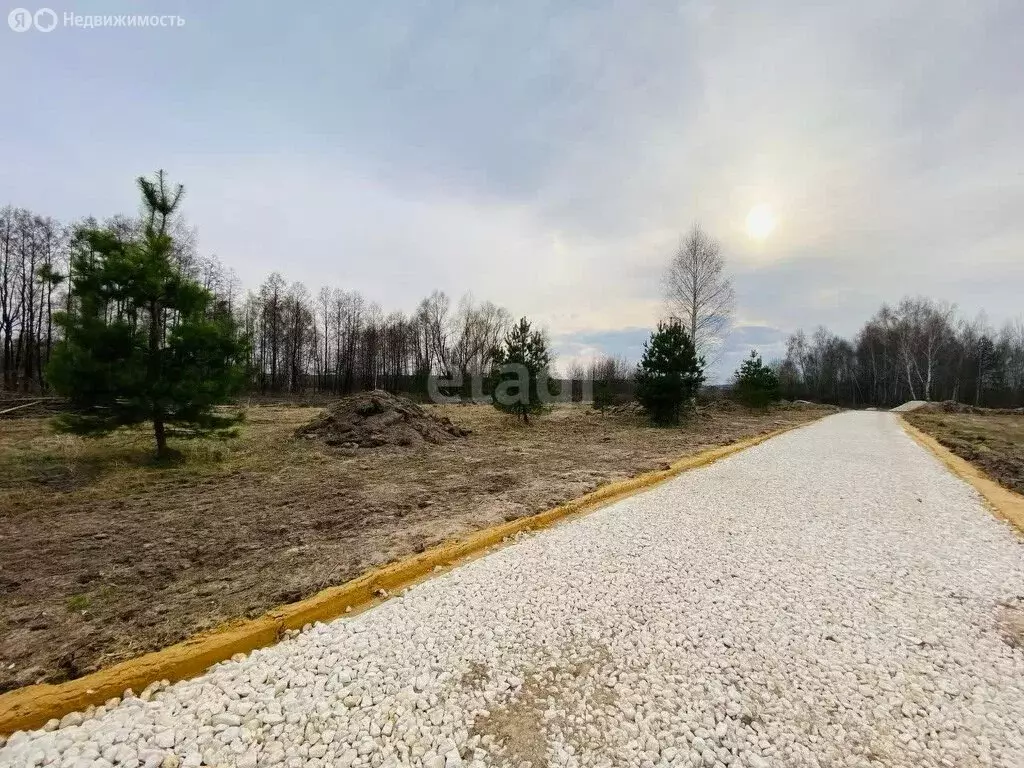 Участок в округ Муром, деревня Макаровка (12 м) - Фото 1
