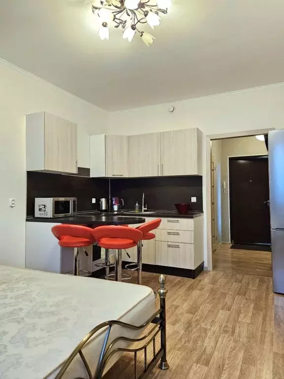 Студия Ленинградская область, Мурино Всеволожский район, аллея ... - Фото 2