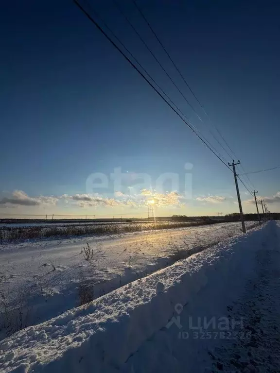 Участок в Тюменская область, Тюменский муниципальный округ, с. Каменка ... - Фото 2