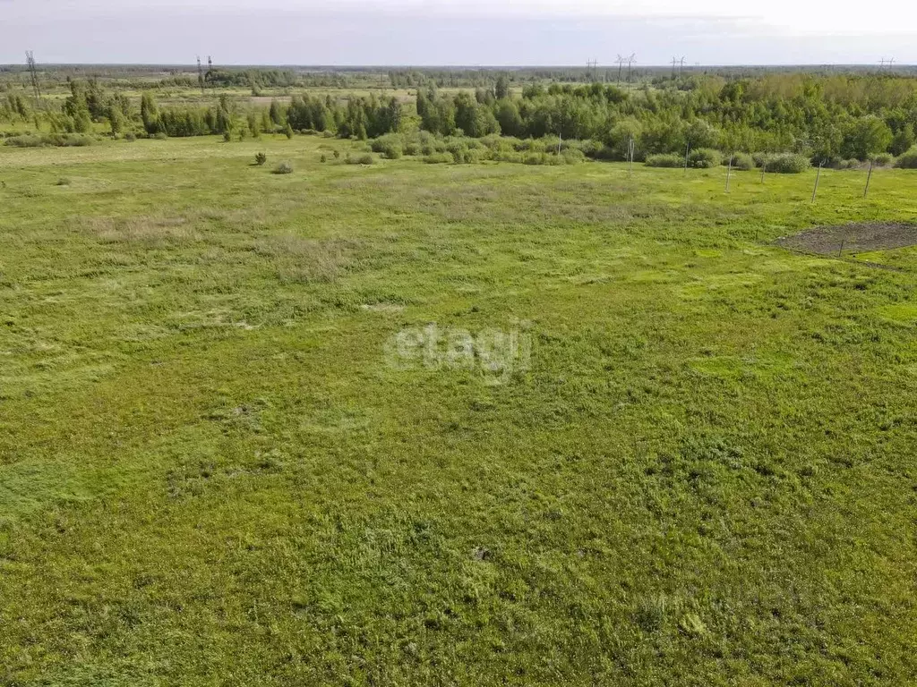 Участок в Тюменская область, Тюменский муниципальный округ, с. Борки  ... - Фото 1