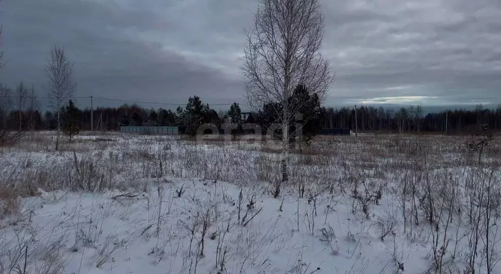 Участок в Тюменская область, Нижнетавдинский район, д. Штакульская  ... - Фото 0