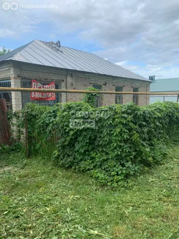 Дом в Чаплыгин, улица Ломоносова, 108 (48 м) - Фото 2