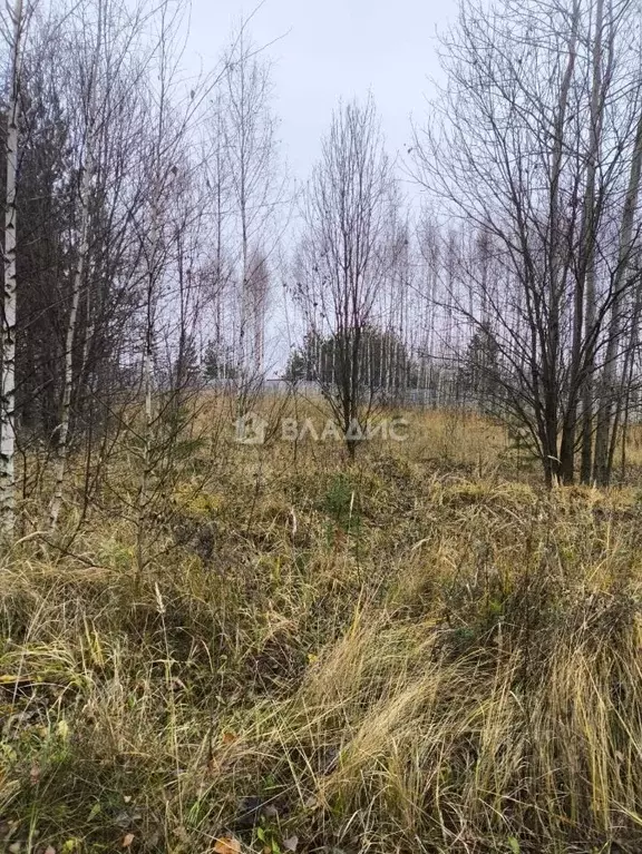 Участок в Нижегородская область, Нижний Новгород 2-я стройка СНТ,  ... - Фото 1