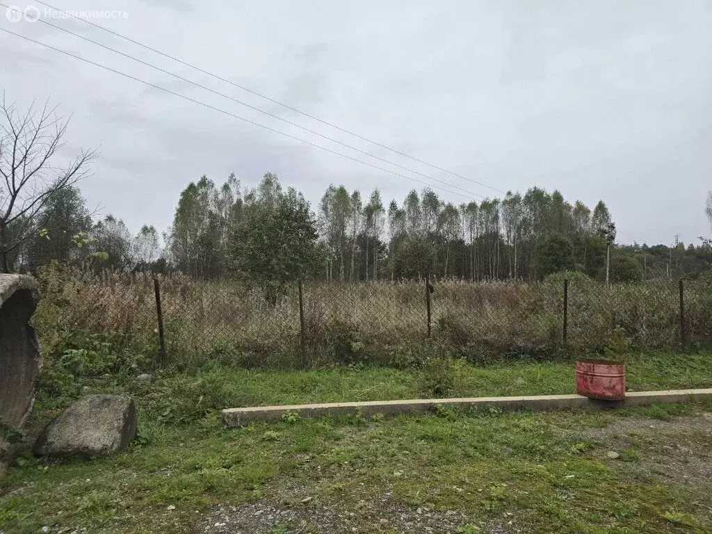 Участок в Валдайский район, Яжелбицкое сельское поселение, село ... - Фото 1