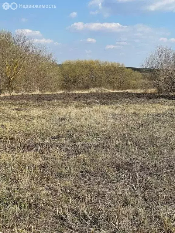 Участок в Венёвский район, сельское поселение Центральное, село Гати ... - Фото 0